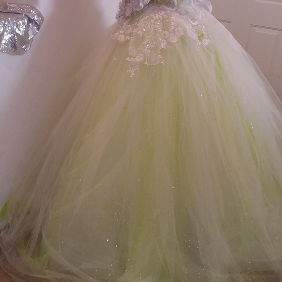 "FAUNA" Ivory & Green Lace Wedding Ballgown Set - Picture 6 of 12